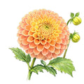 L.A.T.E.